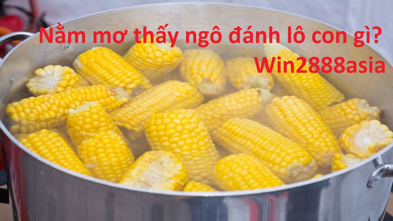 Nằm mơ thấy ngô, đánh lô con gì?