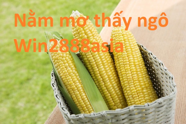 Nằm mơ thấy ngô, đánh lô con gì?